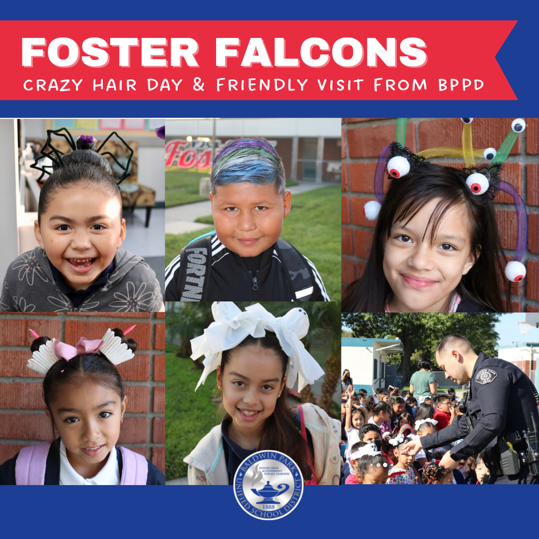 Foster Falcons