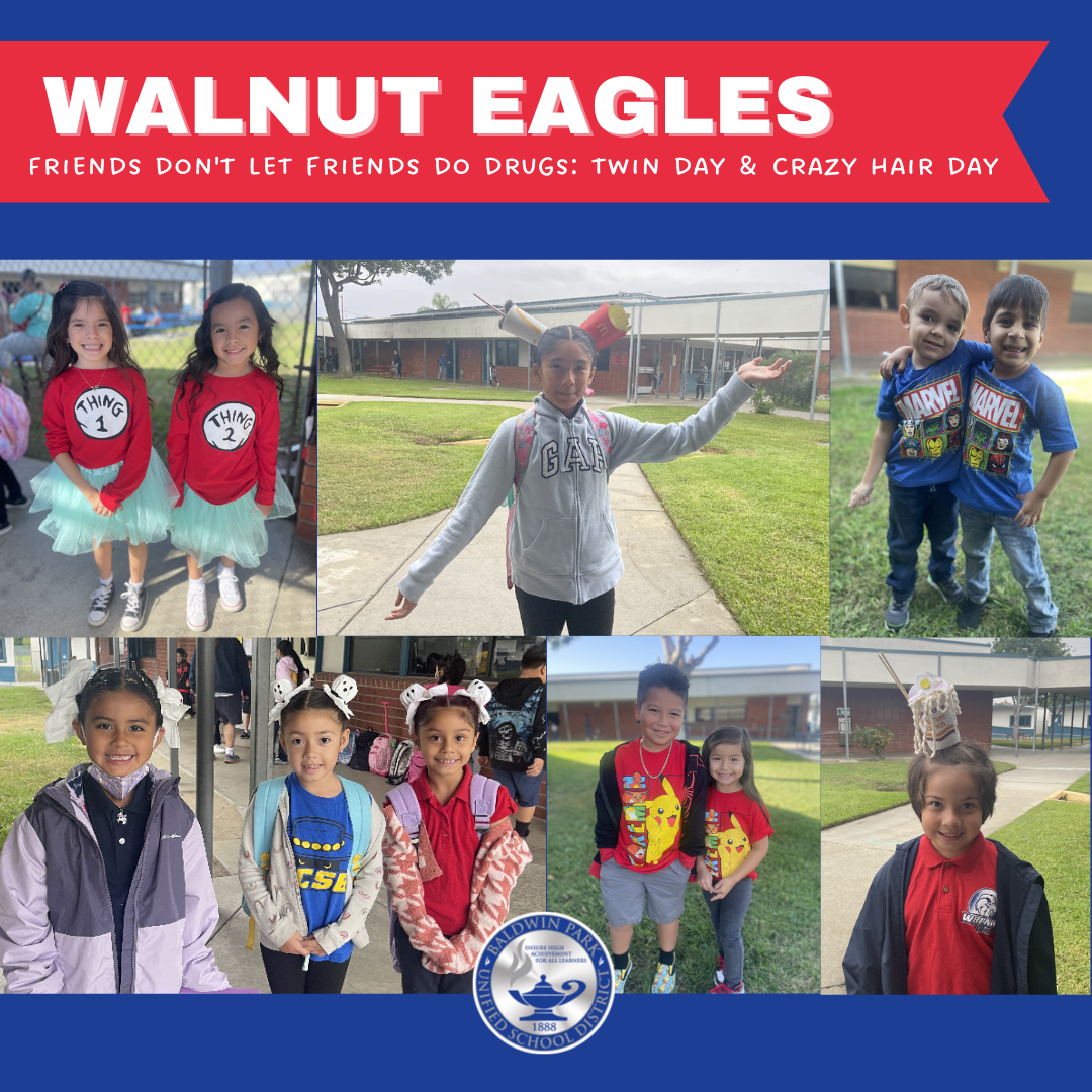 Walnut Eagles